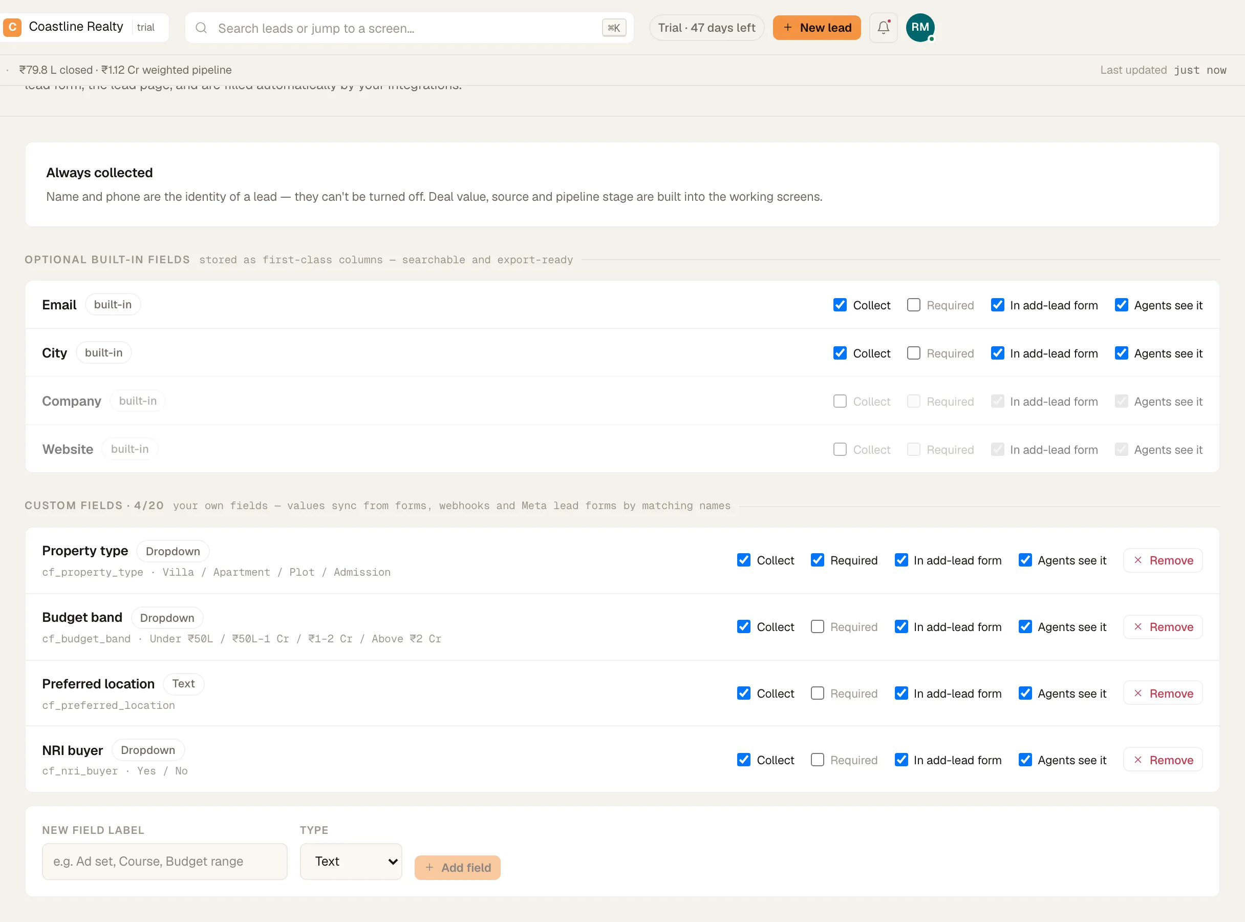 Lead fields showing 'Custom fields · 4/20' with one field marked required.